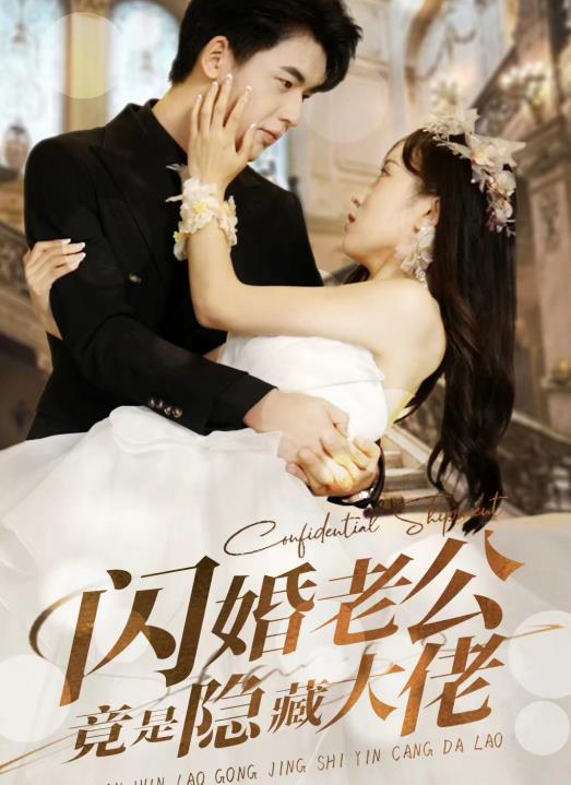 闪婚老公竟是隐藏大佬全集(大结局)