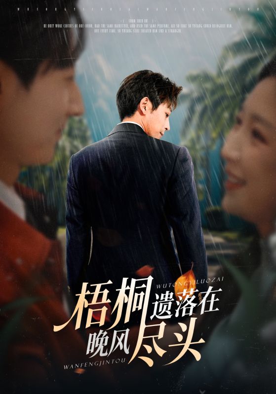 梧桐遗落在晚风尽头(全集)