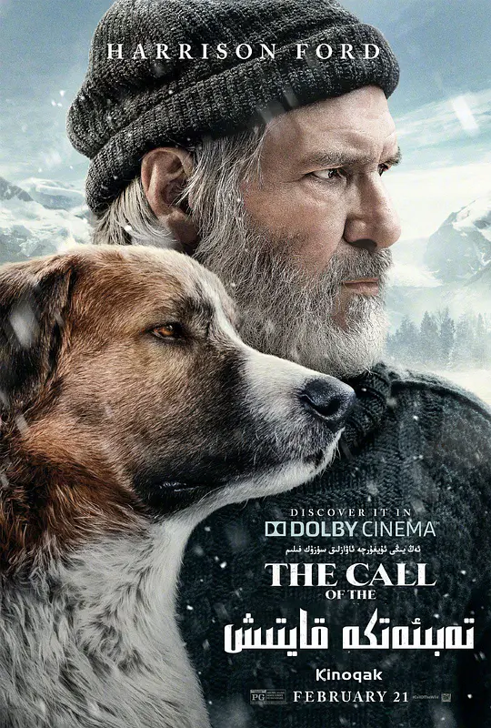 极地守护犬【影视解说】HD